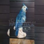 Статуэтка/Фигура Попугай 8