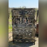 Шкаф в стиле шинуазри 7