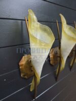 Комплект: Бра винтажное 6 штук 22